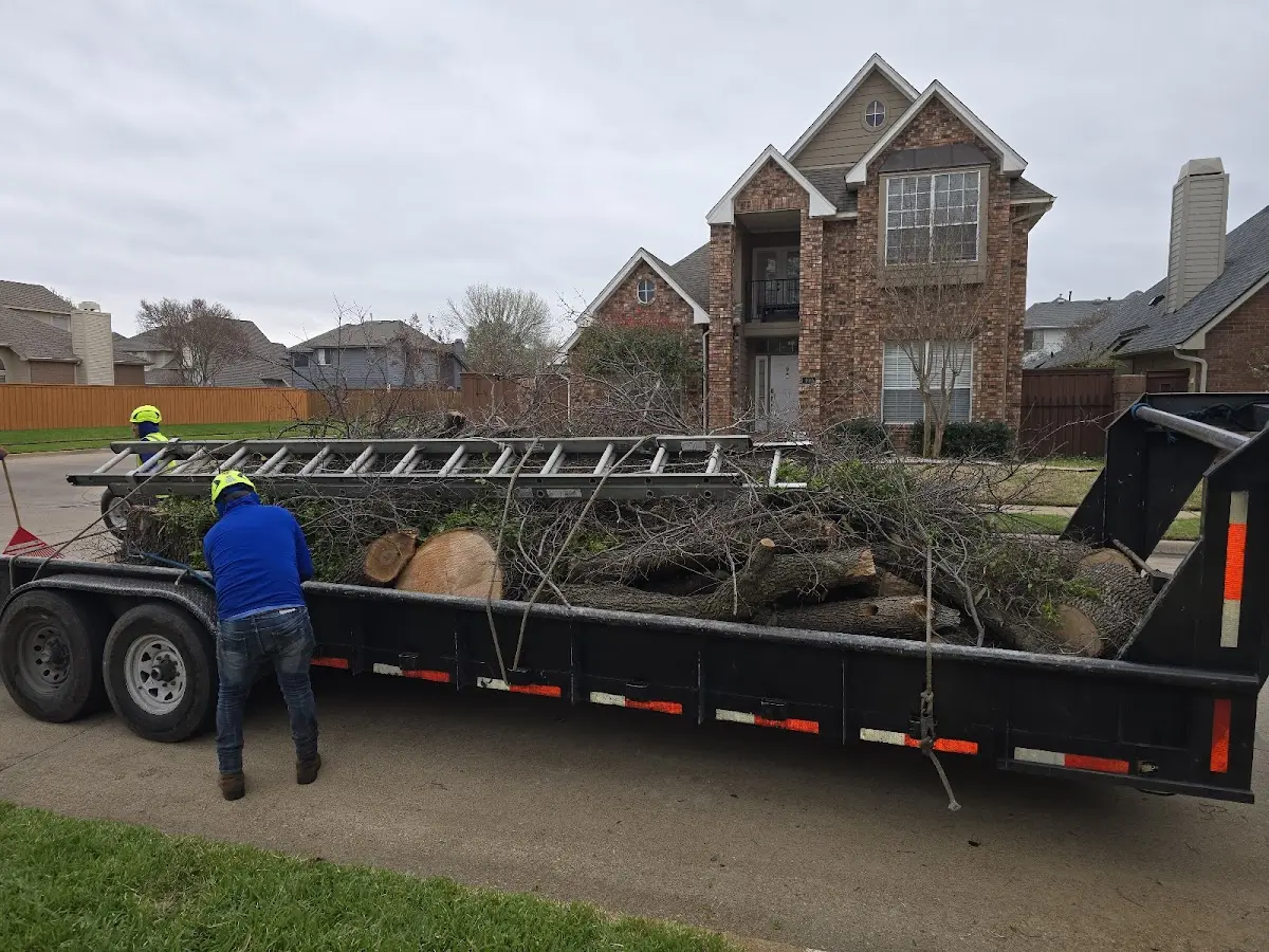 Expert Tree Fertilization with proper safety equipment in Kentfield